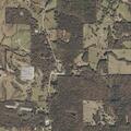 Elderly woman falls and may have broken hip in Forest