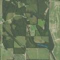 Grass fire spreading from field into nearby woods
