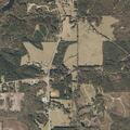 Welfare check requested near Highway 145 in Quitman