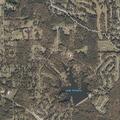 Family disturbance involving adult daughter