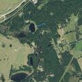 Person reported sick near County Road 241, Beckville