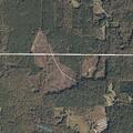Tree blocks roadway at Highway 541 and SCR 133