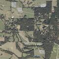 Woman reports dizziness near Walters Road in Pelahatchie