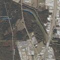 Stray dog with collar reported near auto shop