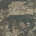 Diabetic woman feels nauseous near Gray Road in Tallahatchie