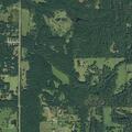 Tree blocking entire roadway on County Road near Flint, TX