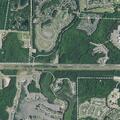 Alligator crossing Bluffton Parkway traffic lanes
