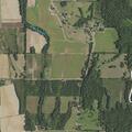 Grass fire spreading into nearby woods