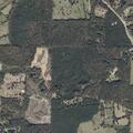 Person with possible diabetic issue near Pelahatchie