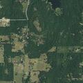 Person reporting abdominal pain in Brownsboro