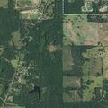 Person reported sick at County Road 3610 in Brownsboro