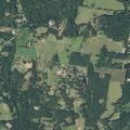 Man having seizure near County Road 243 in Kilgore