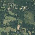 Tree blocking roadway near County Road 283