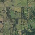 Person reported sick near County Road 2907 in Eustace