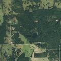 Person reported sick at Brownsboro Co Rd 3302 address