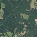 Tree down on power line causing grass fire risk