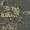 Man having seizure near Stevens Road
