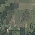 Loose cow in roadway on County Road 4074