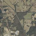 85-year-old woman falls near Lobolly Ridge Road
