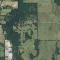 Grass fire along roadside ditch near pasture