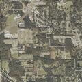 Medical evaluation requested near George Road, Millbrook