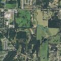 Person reported falling on County Road 431 in Lindale