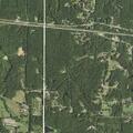 Grass fire spreading near woods on Arnold Smith Road
