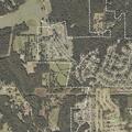 Person requires medical assistance near St Simons Way