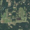 Person having seizure at County Road 338 in Lindale