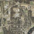 Tree limb on live power line creates hazard