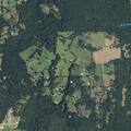 Tree and power lines block county road near Lindale