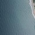 Water rescue for aggressive man near river mouth
