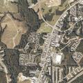 Man, 32, reports back and stomach pain at Auburn