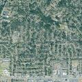 Domestic dispute at residence on Pelham