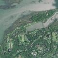 Report of possible stingray at Sanctuary Beach