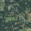 Male having seizure near Pheasant Road in Gladewater