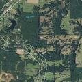 person needing assistance to stand at gilmer address