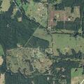 Male having trouble breathing near Longview