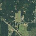 88-year-old man falls and hits head in Harleton