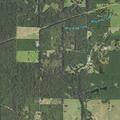 Person having allergic reaction near Highway 552 in Downsville
