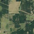 Grass fire reported on County Road 457