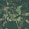 Grass fire near homes after tree hits power line