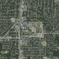 Domestic assault reported near East Magnolia Lane