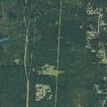 Assault reported at home on Old Lee Island Road