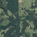 Sick person reported near bobwhite road in gilmer