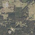 Children found walking alone near elementary school