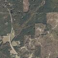 Elderly male fallen near Highway 17