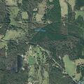 Person experiencing abdominal pain in Gilmer, TX