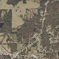 Intoxicated man stumbling at mobile home park