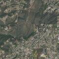 Animal rescue on Myrtle Street in Jamul
